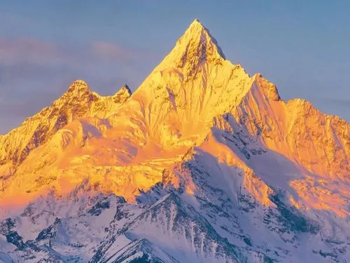 fc619e7f7e871e9b5f36ef47d6e5d479-sz_546873