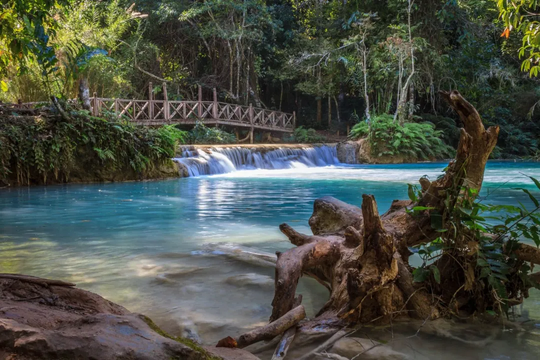 fc823143ad5103f54b91f525c2a37f2c-sz_394576-1 fc823143ad5103f54b91f525c2a37f2c-sz_394576-1