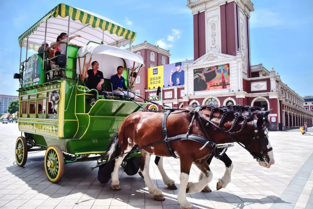 fc8702d657802c330750b27ed6d9e505-sz_497602 fc8702d657802c330750b27ed6d9e505-sz_497602