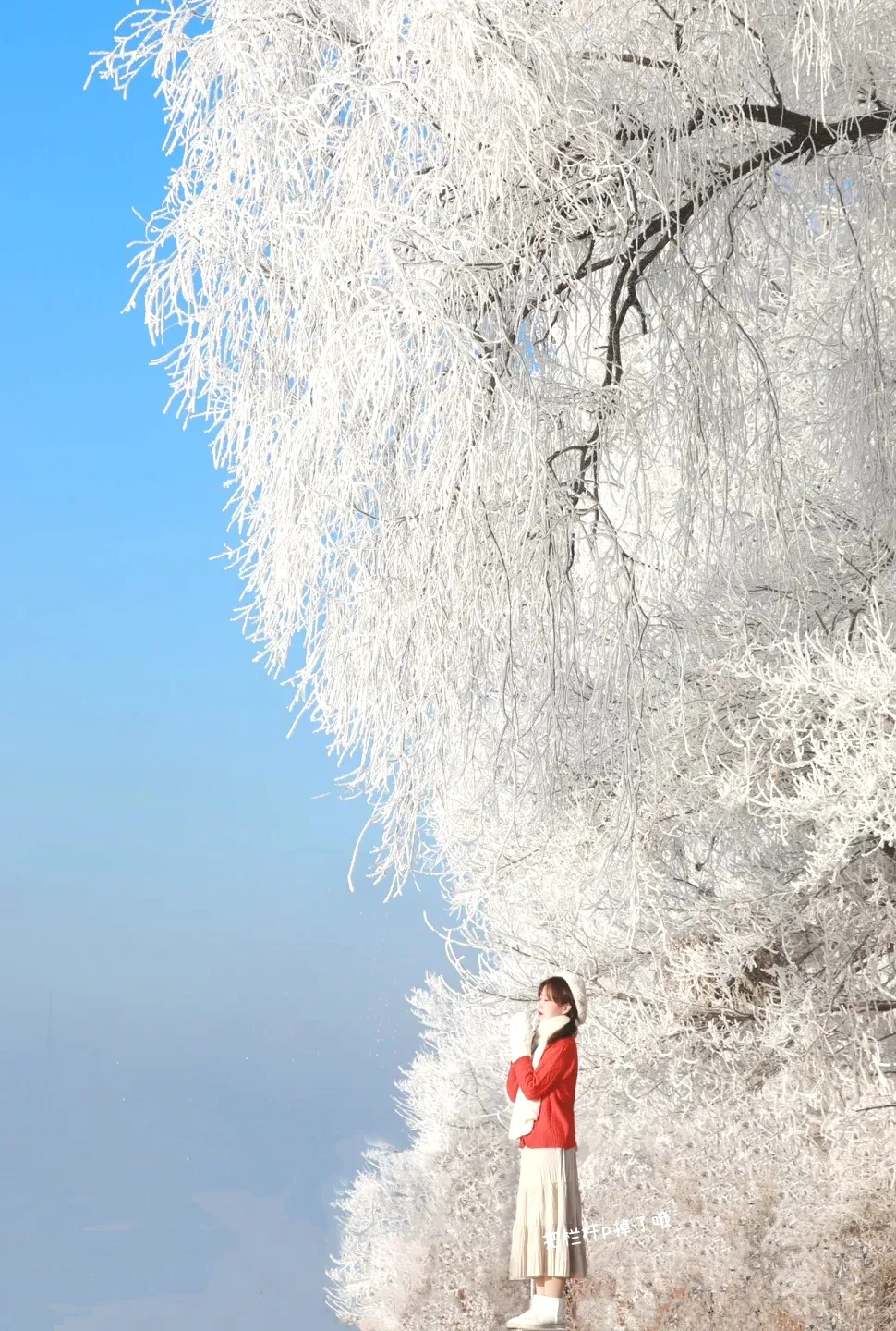 fc8cec30dc78bbd2015d51f60c94e82e-sz_477753