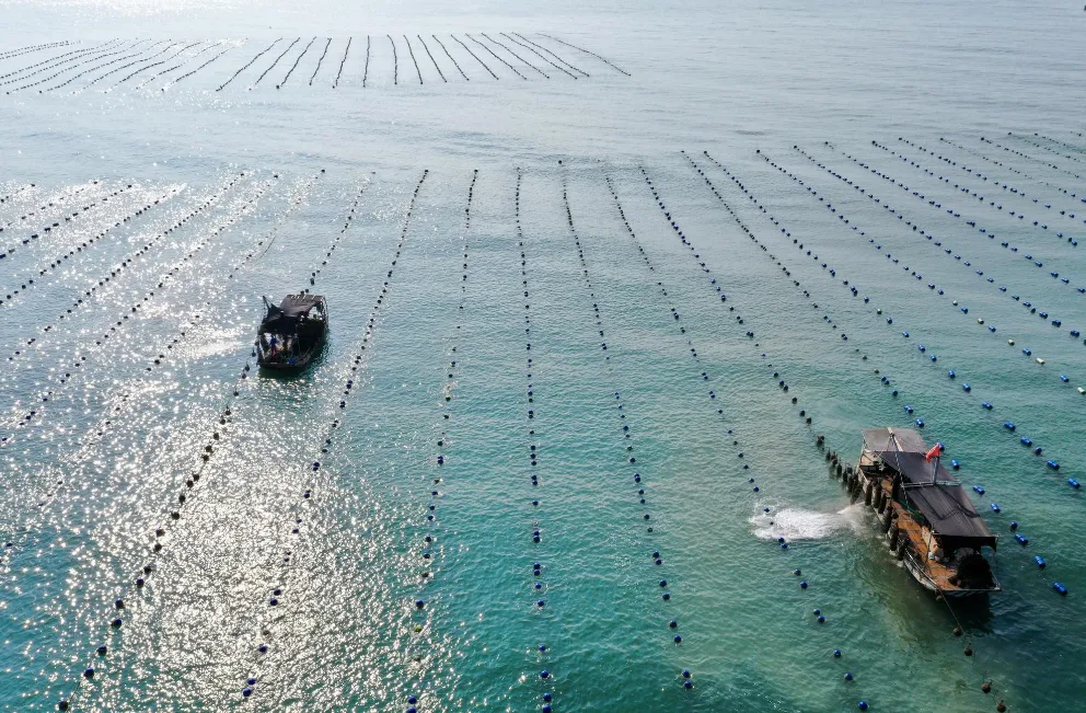 fce0e4e2c9f0437b57d32bc52d425b9c-sz_1364894 fce0e4e2c9f0437b57d32bc52d425b9c-sz_1364894