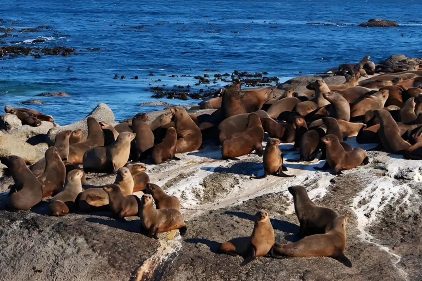 fce6a4ad00fe151773799a899ef14aba-sz_5559163-1