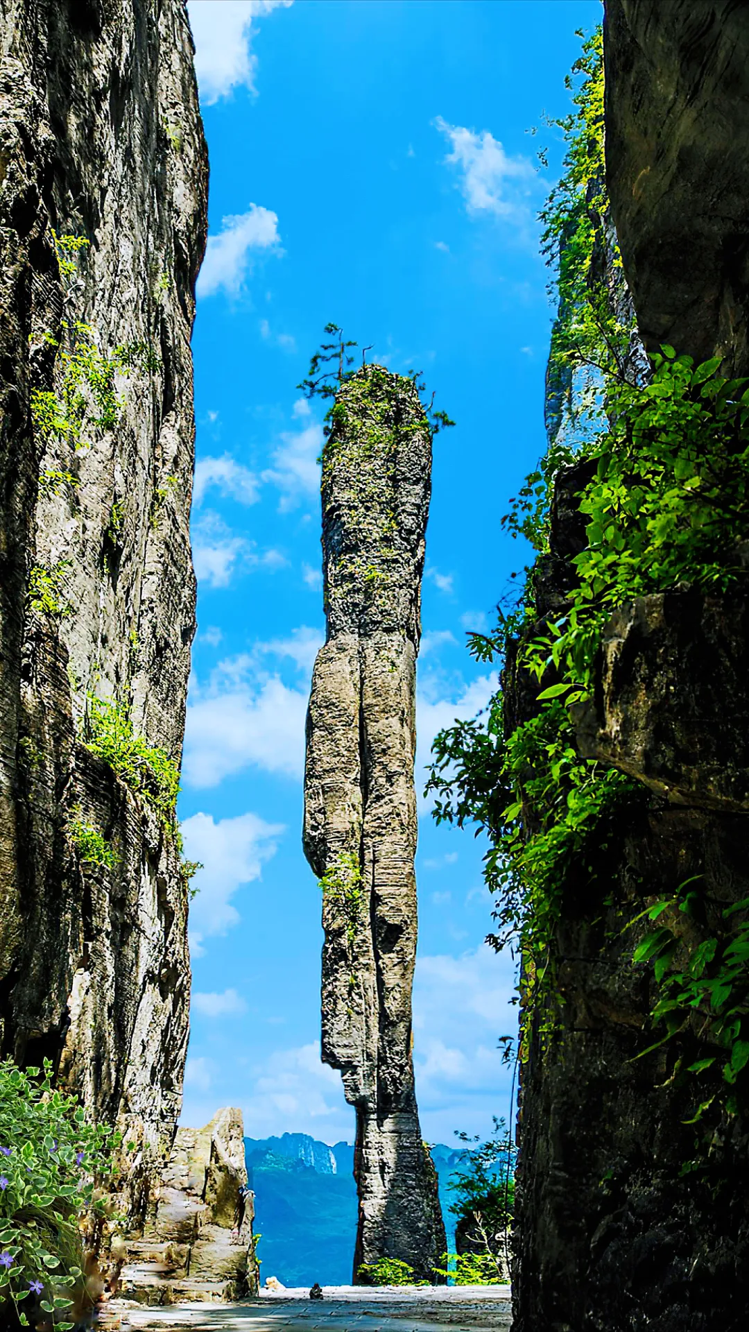 fd2782af731e94116835e9a11d219b5a-sz_5453739 fd2782af731e94116835e9a11d219b5a-sz_5453739