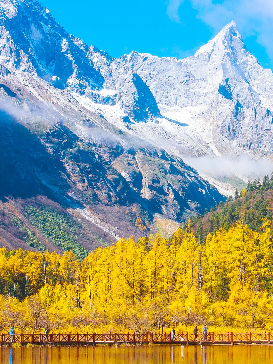 fd4107a04c0b532349ce89da5dcb6395-sz_1377938