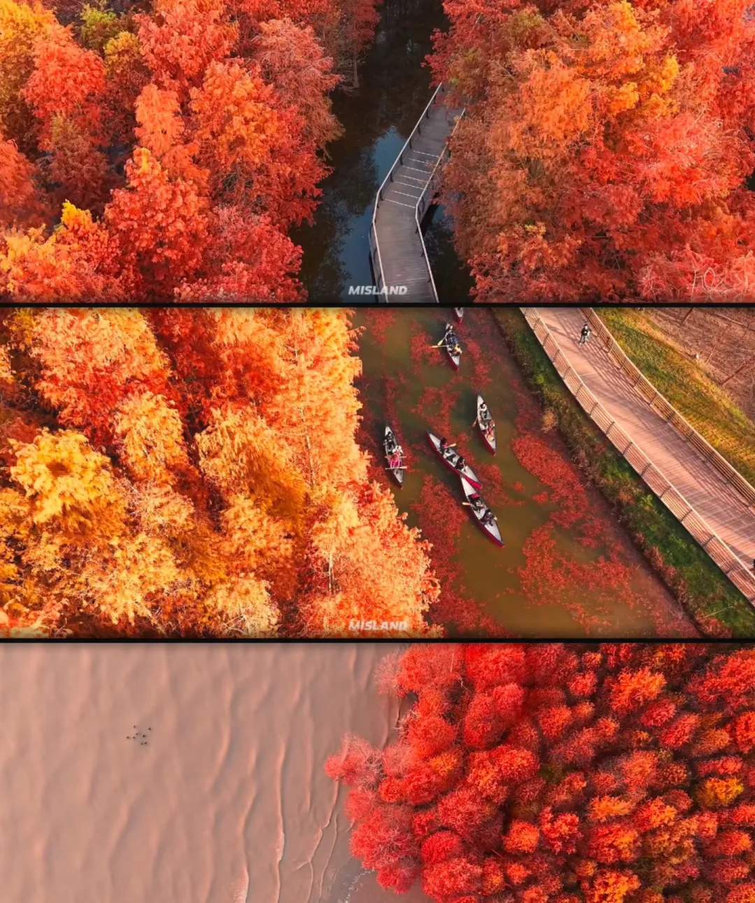 fd77aee54b2112a0b46319fdd0d2abbe-sz_1996607 fd77aee54b2112a0b46319fdd0d2abbe-sz_1996607