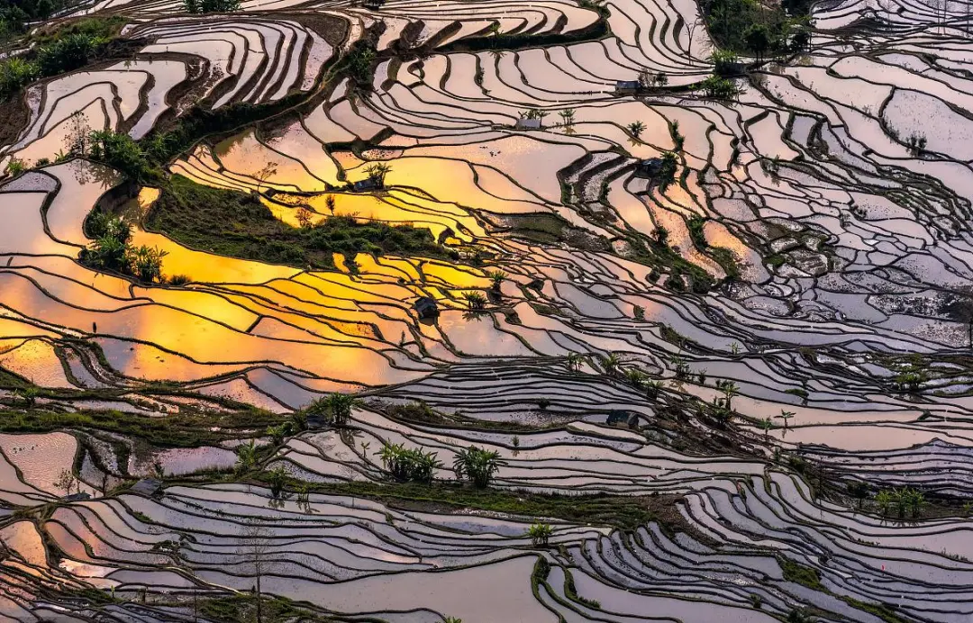 fdc212d25e1bfb54c1b1c7f1325b39f8-sz_344259 fdc212d25e1bfb54c1b1c7f1325b39f8-sz_344259