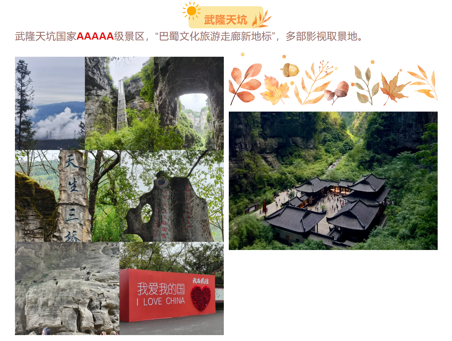 fdc9ba04daba6f2ffc1b11521a371789