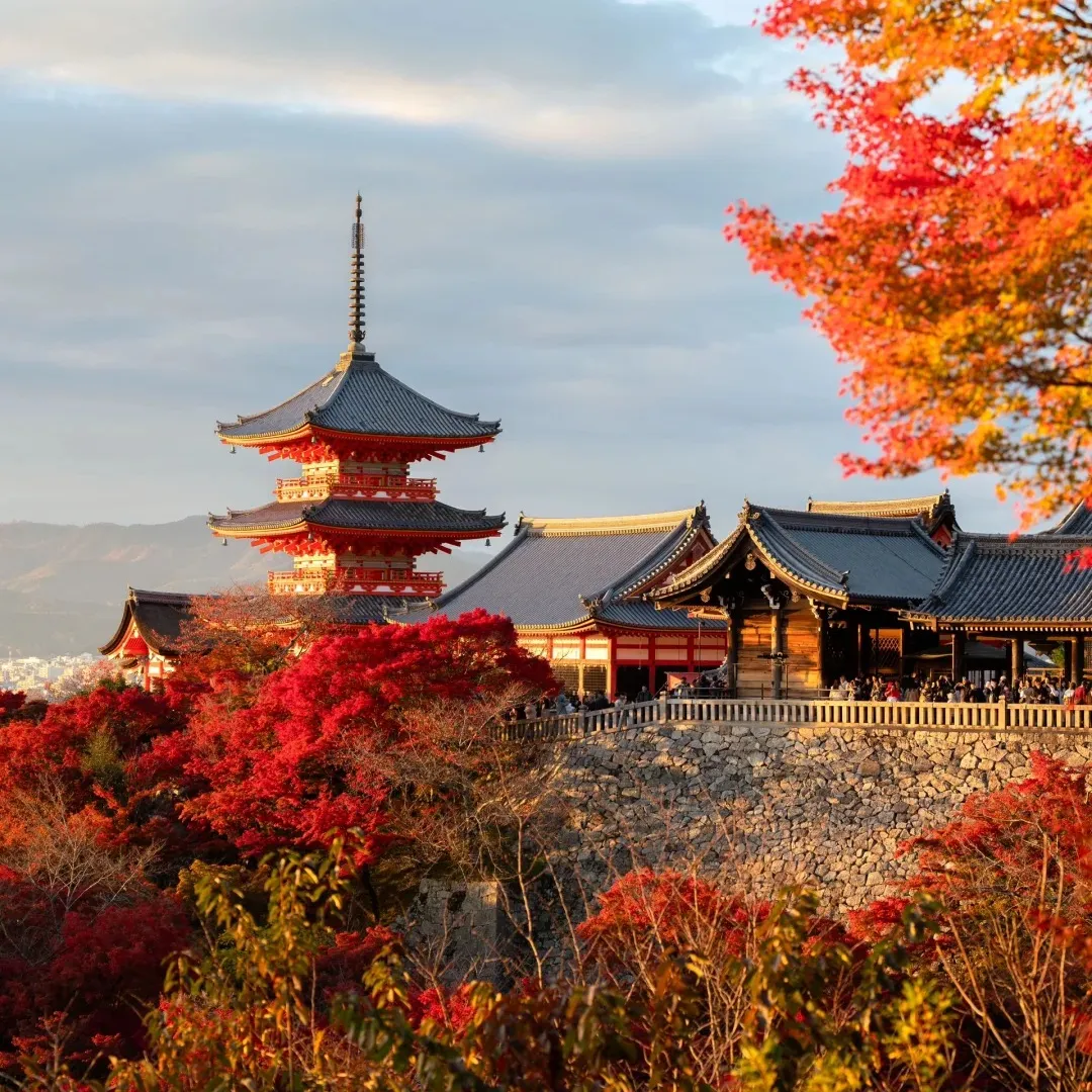 fe06c3fafd2570f2bec44ad1ef90a4d1-sz_508451 fe06c3fafd2570f2bec44ad1ef90a4d1-sz_508451