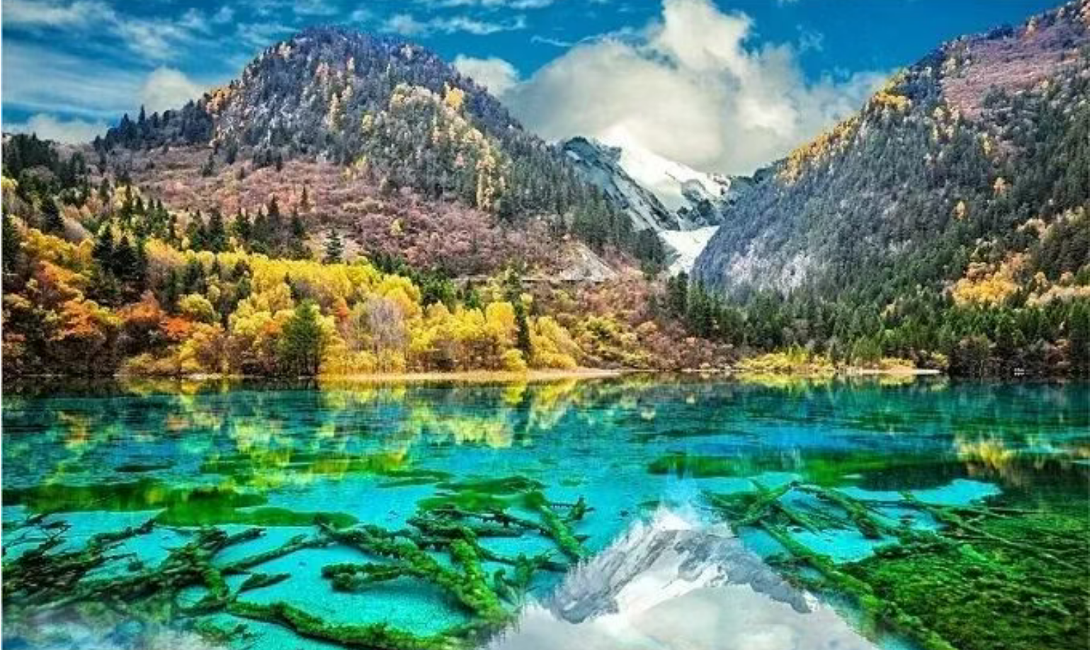 fe14f60a1feee41766248ccc7bba065d