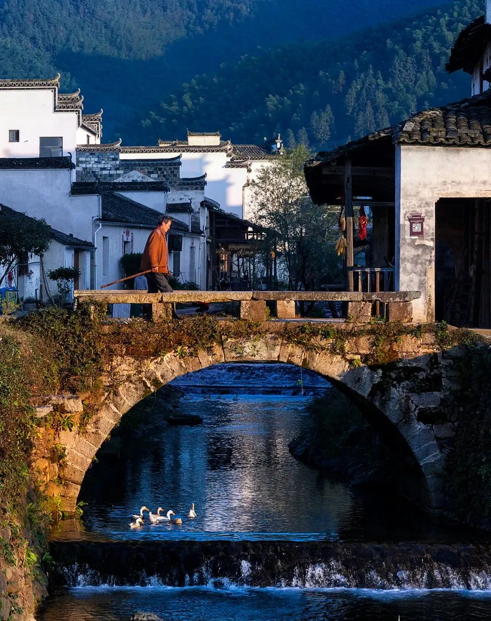 fe1dcfb1bd0196e110652556a622c03e-sz_347037-1