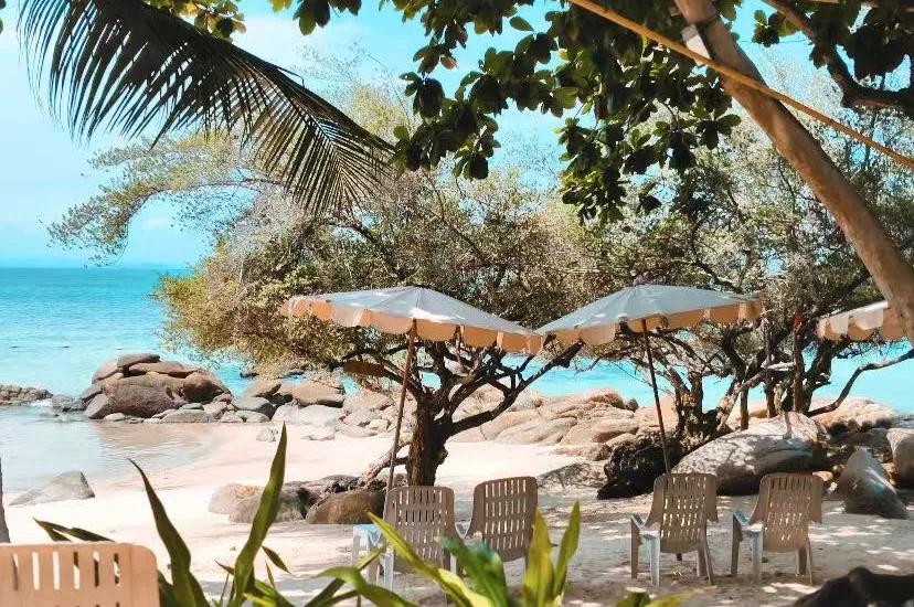 fe216fc8f771c1a054f00b2c457cecf8-sz_1473373 fe216fc8f771c1a054f00b2c457cecf8-sz_1473373