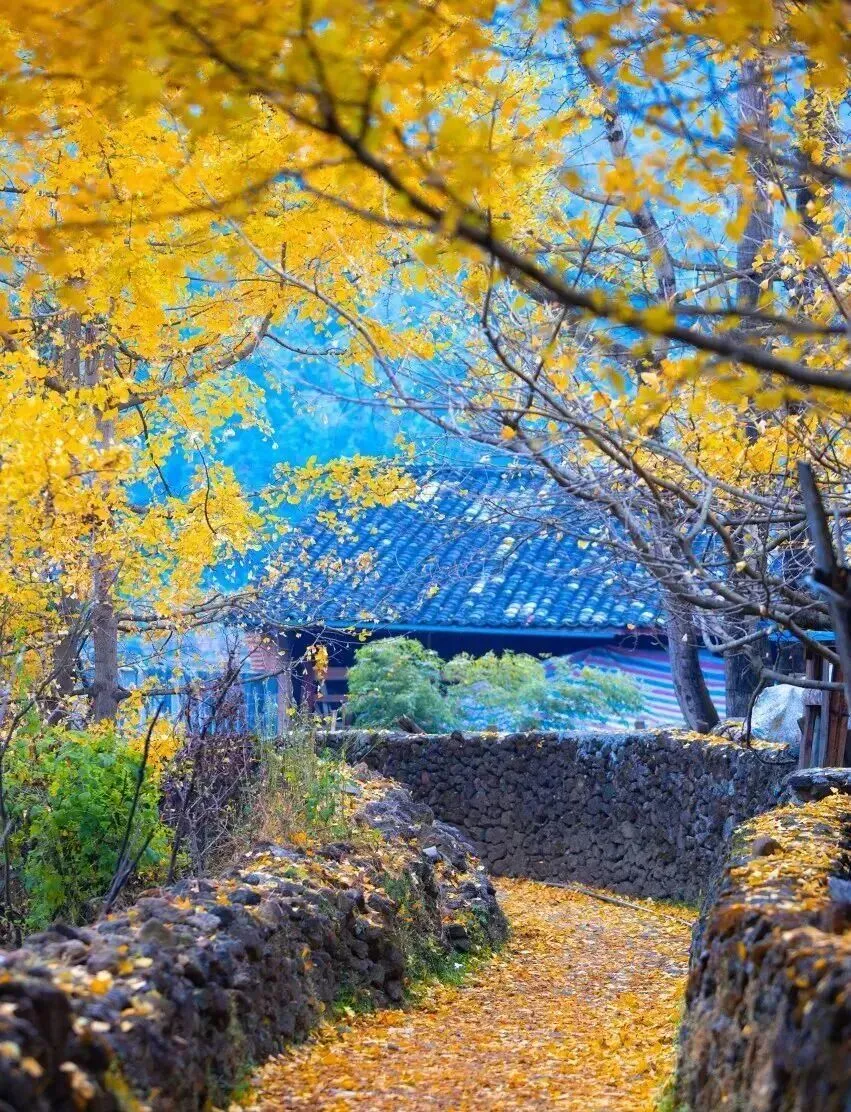 fe38c34286c653f93fd7899bcf155758-sz_315681