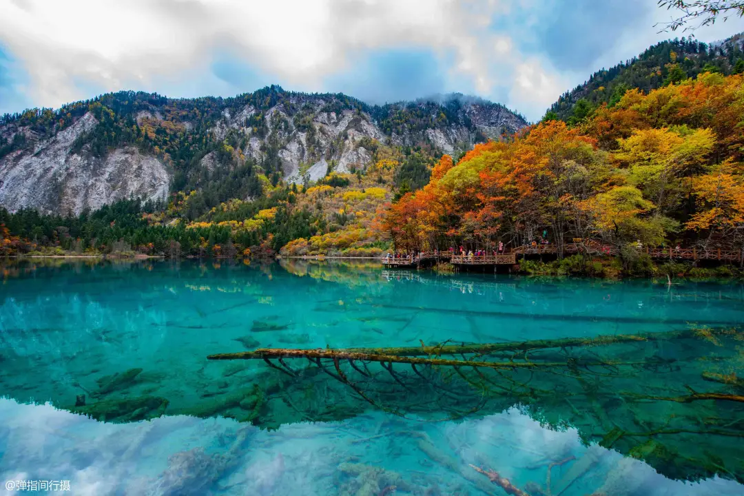 fe3fe5e465194015eae21334dabc672c-sz_687123