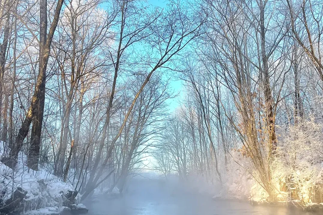 fe4ac635a369b90cc81f75a81b001c83-sz_3388807