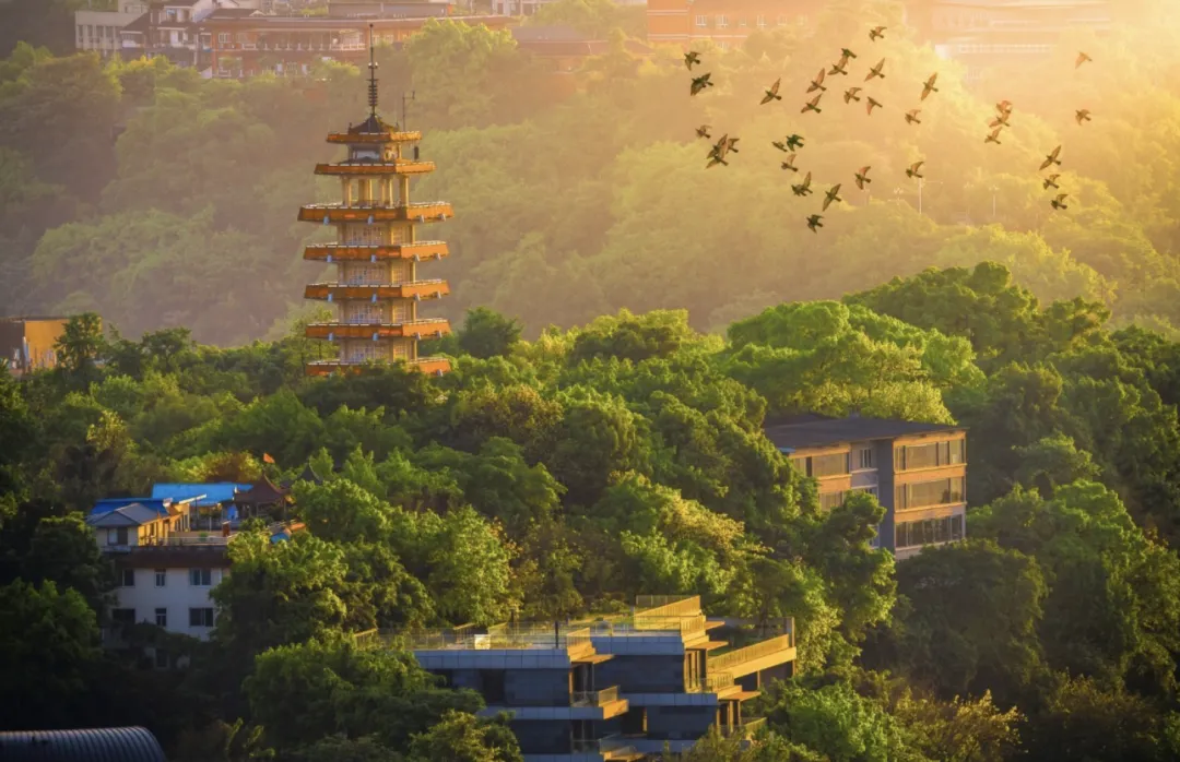 fe4ef368e19302051a44a34469a4ea93-sz_2654099