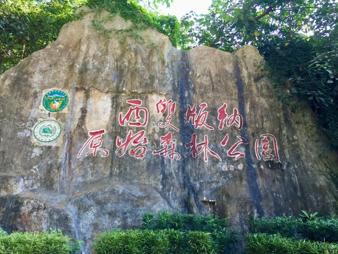 fe5bfabba1c3479929fe2e69b2712c97-sz_720419 fe5bfabba1c3479929fe2e69b2712c97-sz_720419