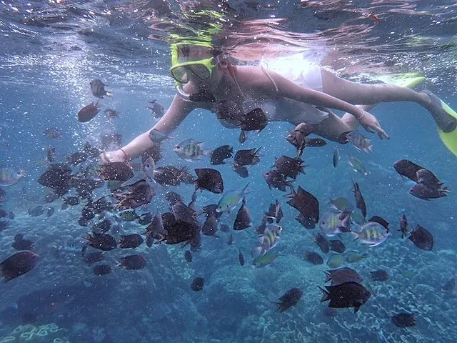 fed81a0d9be3d16602bba30879fb0e76-sz_200717 fed81a0d9be3d16602bba30879fb0e76-sz_200717