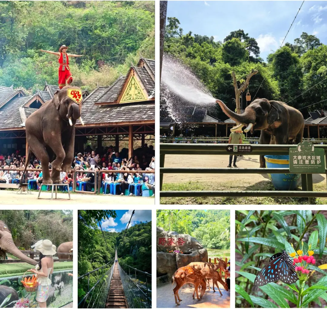 fef6dc30f3a29fb613c66b4629096293-sz_540625 fef6dc30f3a29fb613c66b4629096293-sz_540625