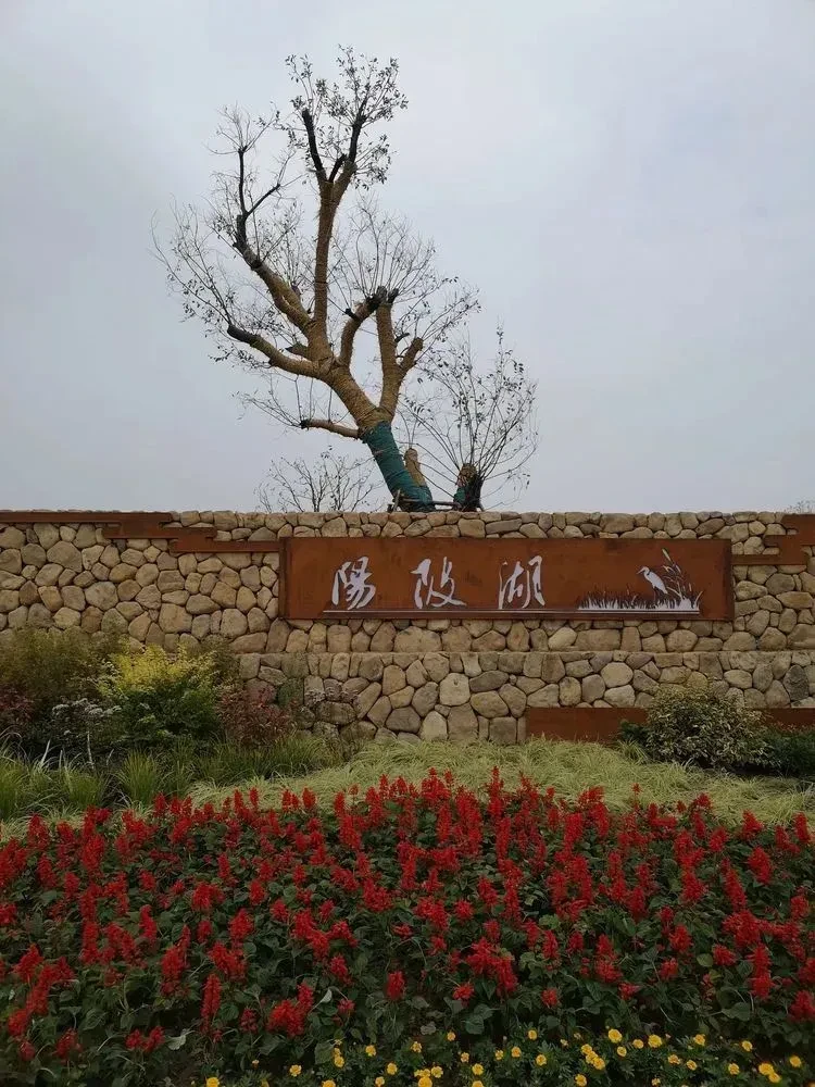 ff58858a1ee1ea0bc0503f613b14c7e8-sz_157892 ff58858a1ee1ea0bc0503f613b14c7e8-sz_157892