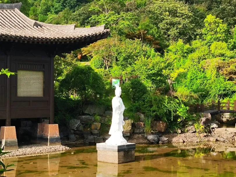 ff8e3907fa5f99589e1e49182923a5bd-sz_356820