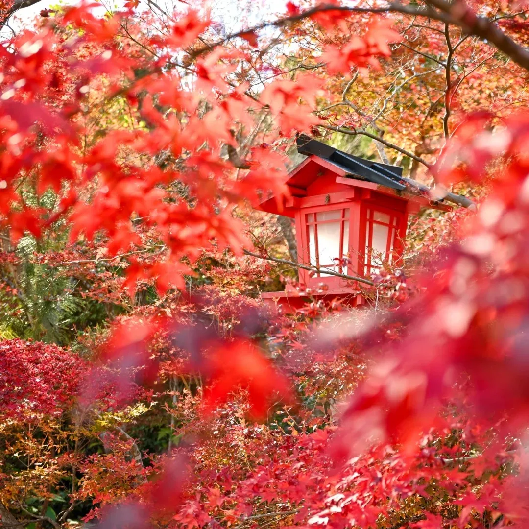 ff94df2cedcdc3eea5114f98374e01cd-sz_700423 ff94df2cedcdc3eea5114f98374e01cd-sz_700423