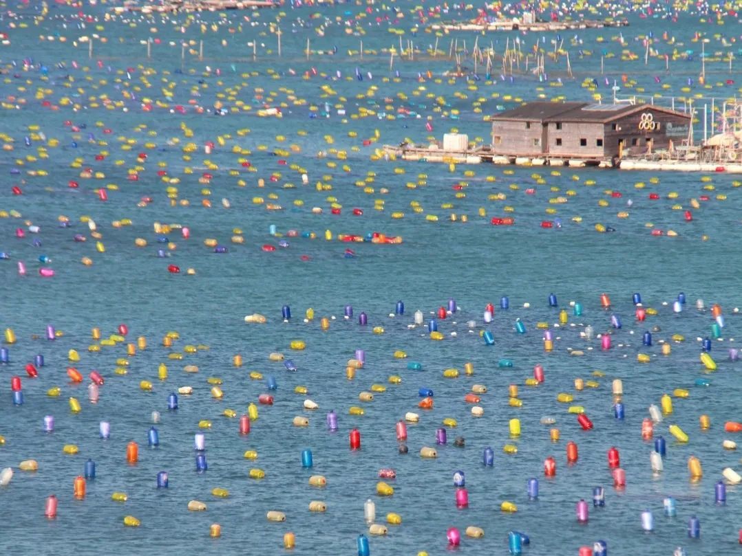 ffe8132c06ee7741bd1f7309bca55485-sz_508462