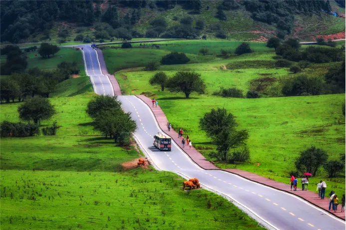 fff59c5c9c557ab814468d52292ff9dc-sz_692246 fff59c5c9c557ab814468d52292ff9dc-sz_692246