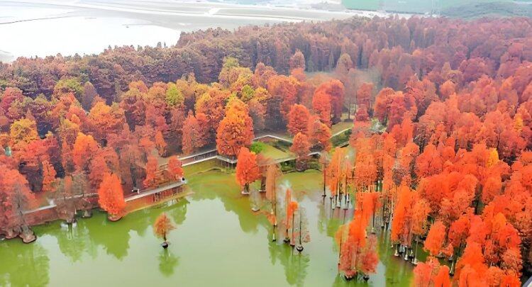 j6AcSGRTWFjEcje6v_txPV7olWSUms2C