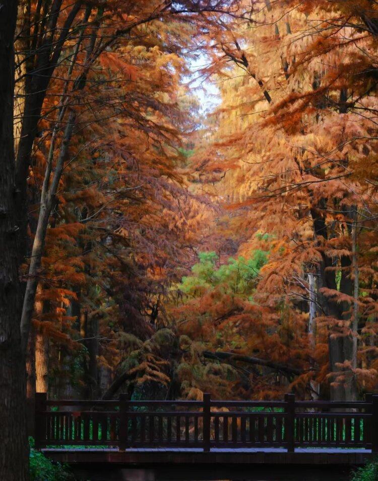 kb4xLNYXUsv0-fjRUJnjkkN89G-8Nsgb