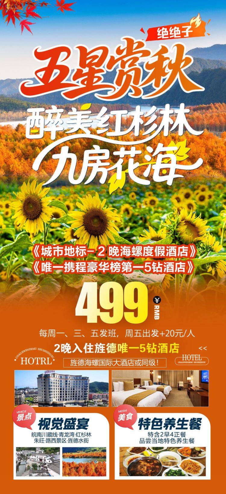 🌻《住五钻海螺！看皖美秋色》499🚌全程大巴『行摄红杉林~打卡九房花海！2餐自助早』青龙湾红杉林.路西空中茶园.朱旺，2早4正，皖南美食，皖南·旌德休闲3日