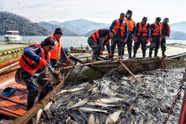 p5s2m8gYt5012lLbC_pMELbhbOnZTyYg