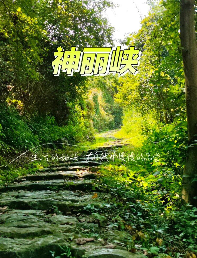 rUTK4VW4p39HJre2br-Cw0LKMlNtu8iO