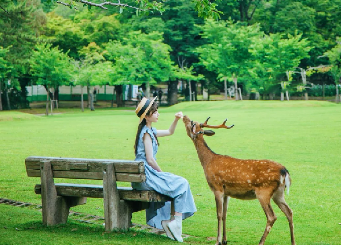 syKNugOwZstBvYEn syKNugOwZstBvYEn