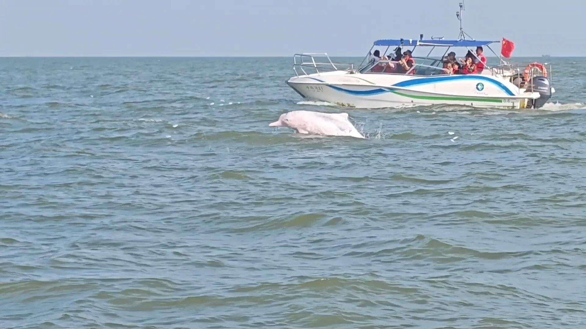 00000000BXxzIjRkBEFZQzso