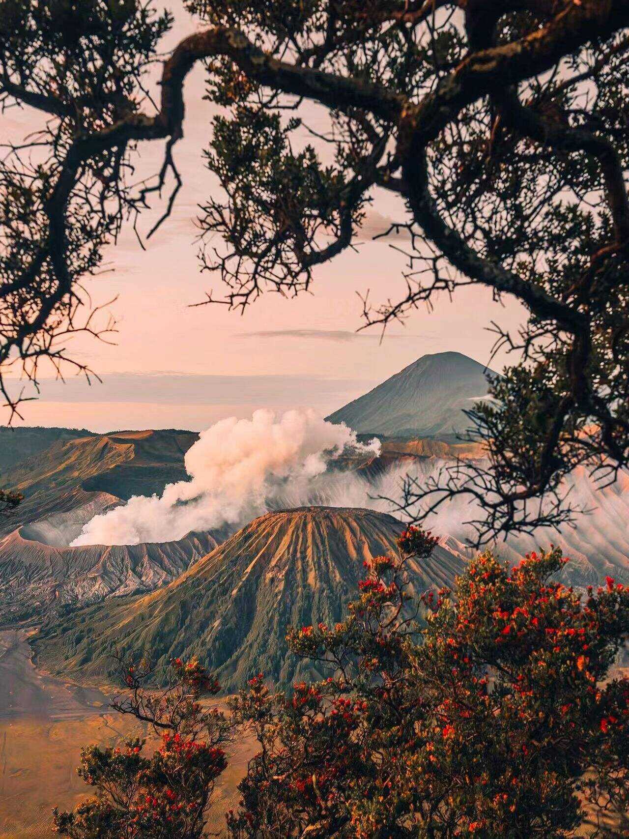 00000000BcRIcNFFeQpkbkpL 00000000BcRIcNFFeQpkbkpL