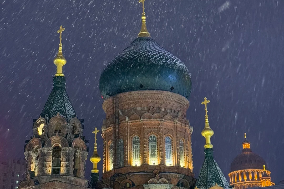 00000000BwGJXOufSwpXcQib