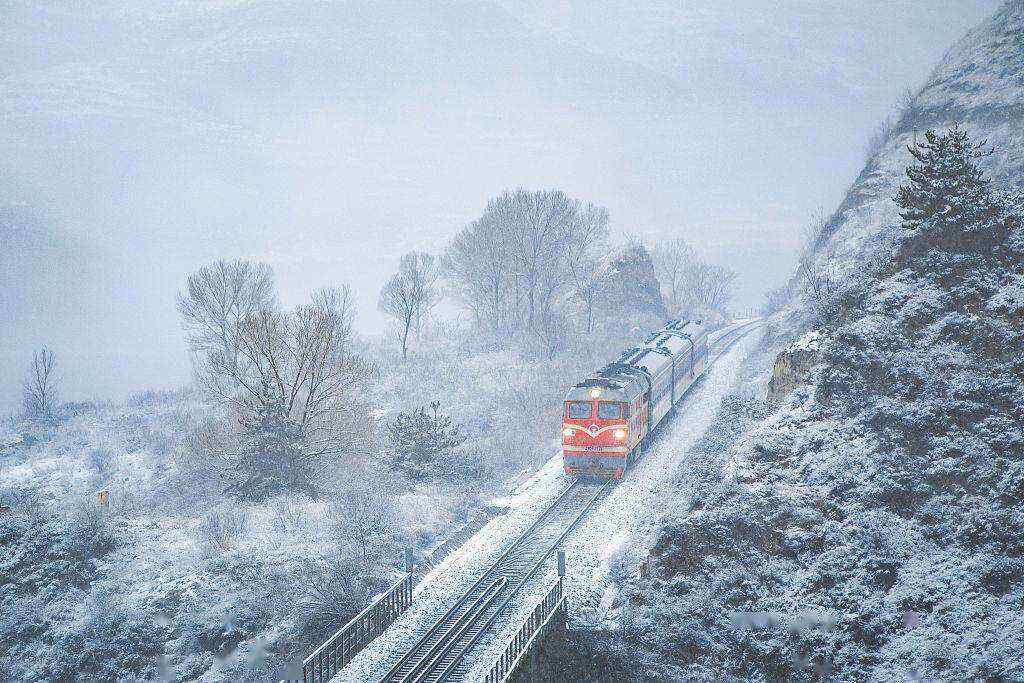 00000000DMQaiQQzPBonGWXz