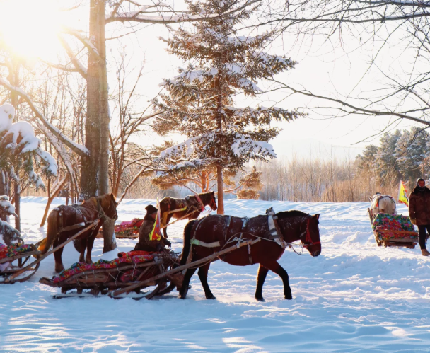 00000000DRAnZaWgGdXQYruP