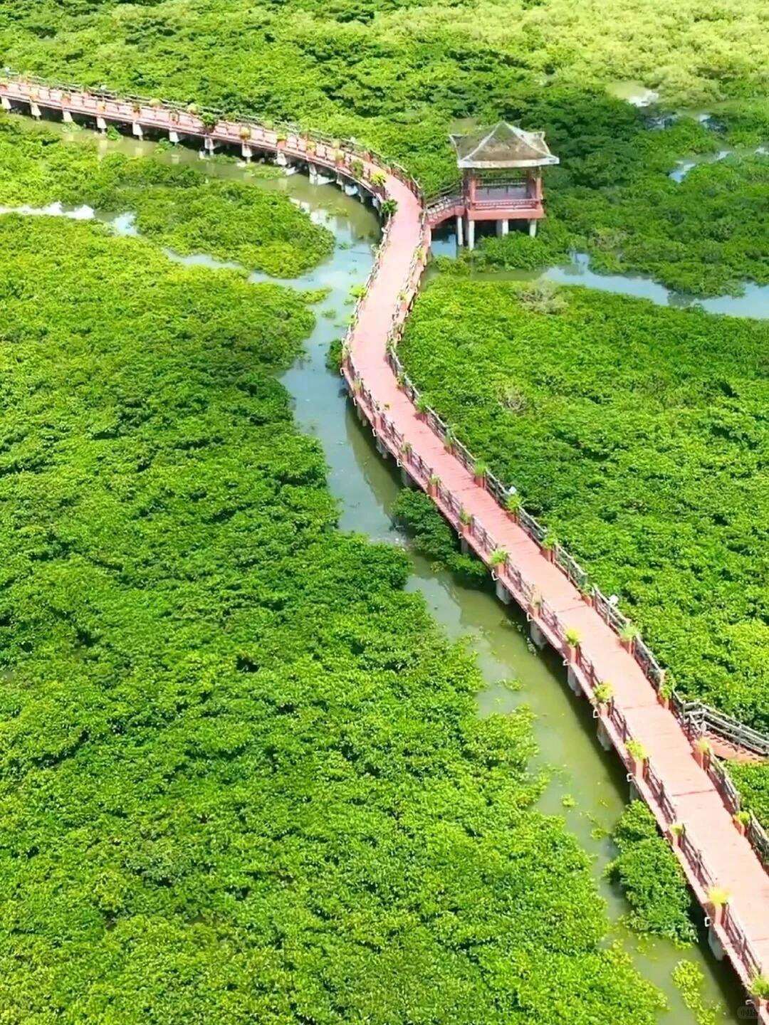 00000000EDsawxBkzsokKdmH