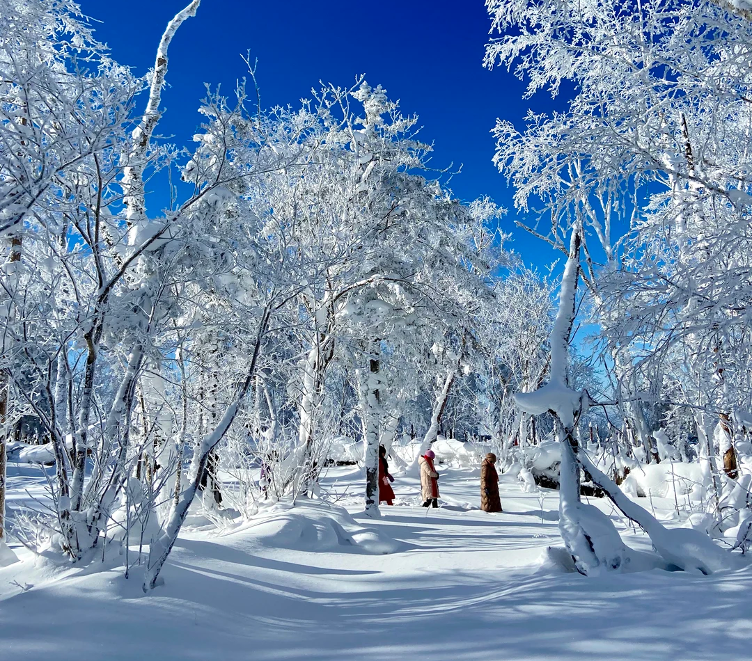 00000000FcxeauyXfJFvUYCS