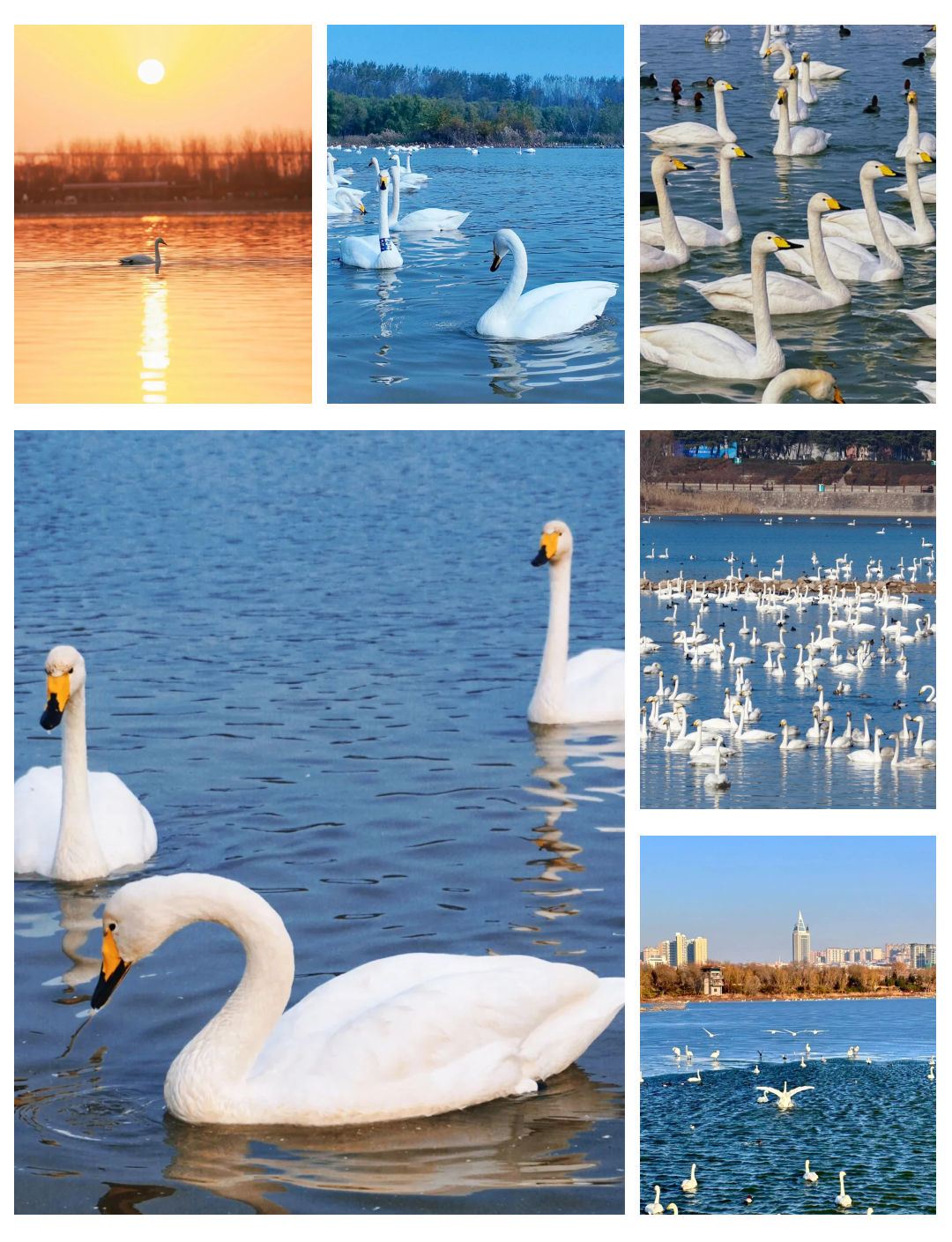 00000000FnjVQvIrYHYRZlin