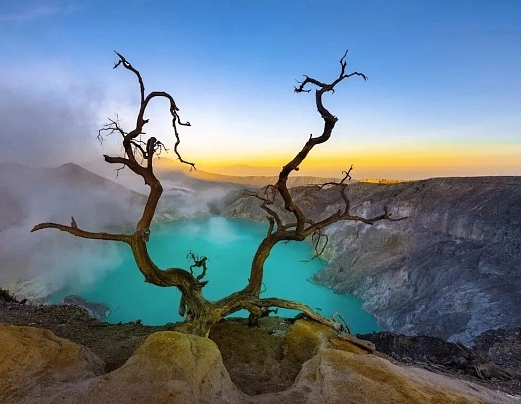 00000000GGqVWBxNGjdfwsAL 00000000GGqVWBxNGjdfwsAL