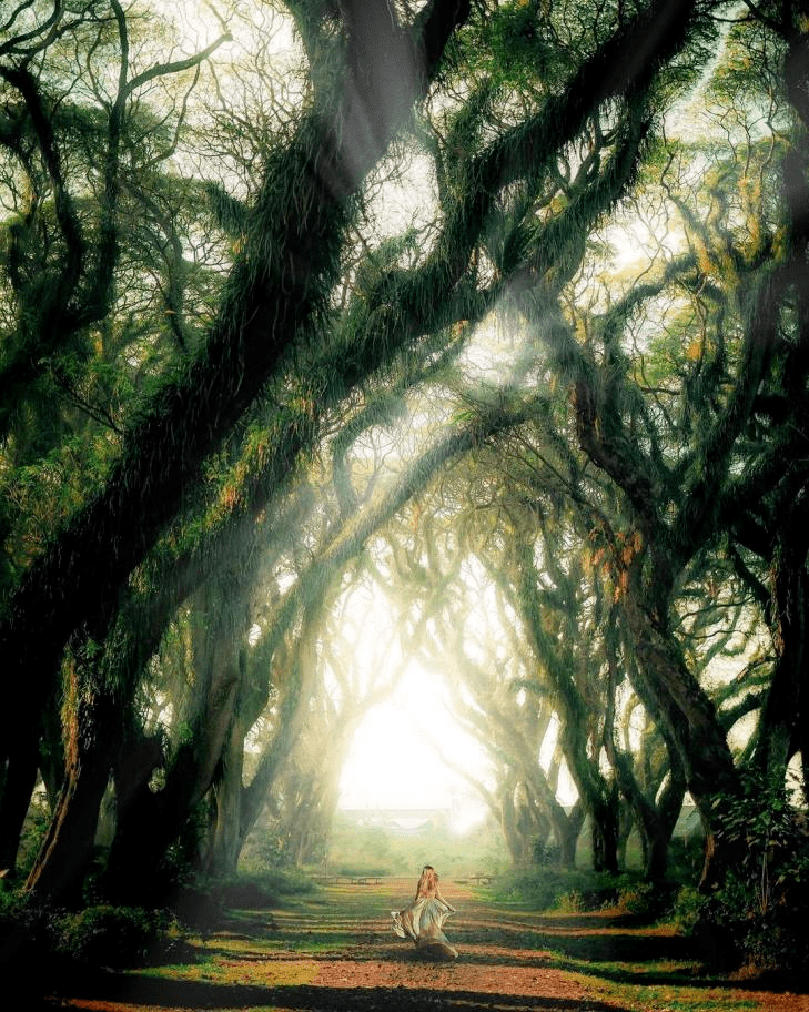 00000000GSvqQualrtMzUYyT