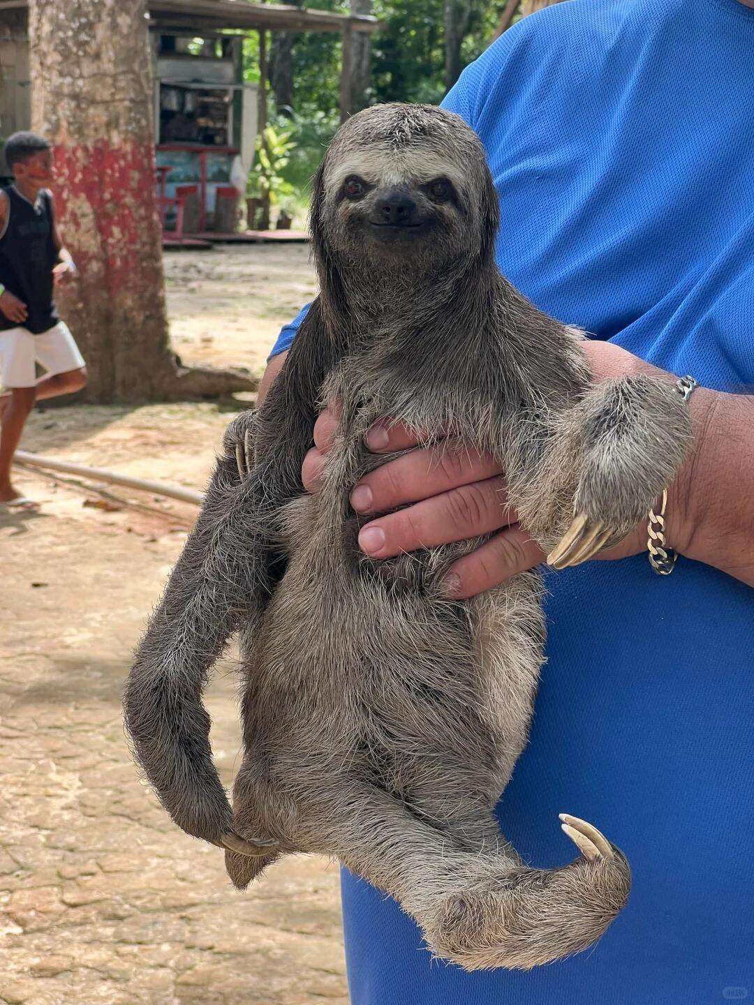 00000000GoeFuAKAtPLbDzTr