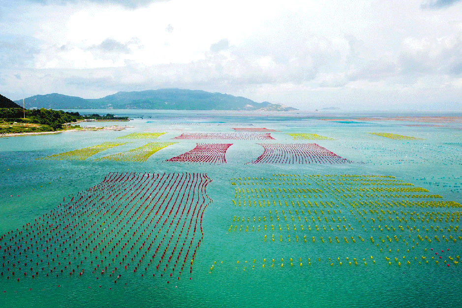 00000000HOEYgJfLezCRfNRl