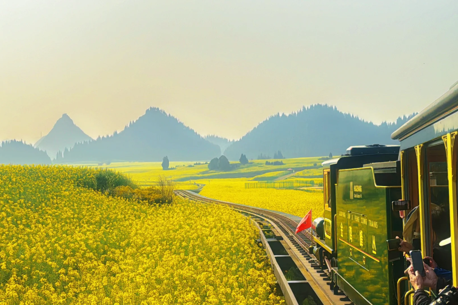 00000000IFJxbdqGQetbJChQ