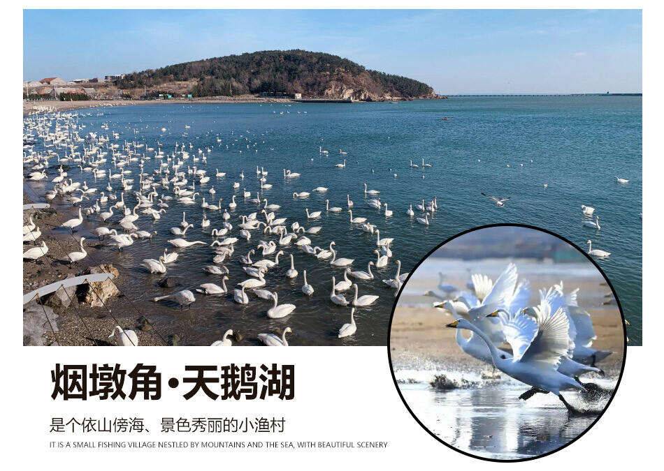 00000000IfMkvXjbDLoSKNCA