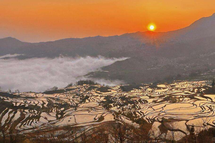 00000000IwRPcXQNpqEhOJvY