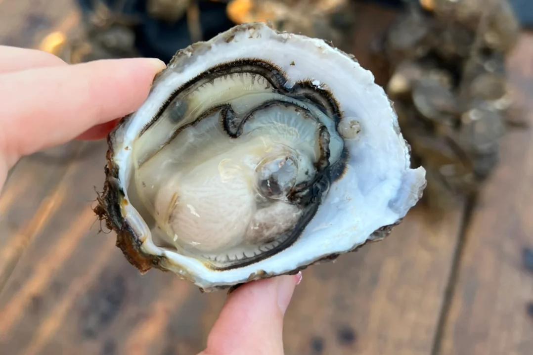 00000000JGLkOFxlQxFzZRUb