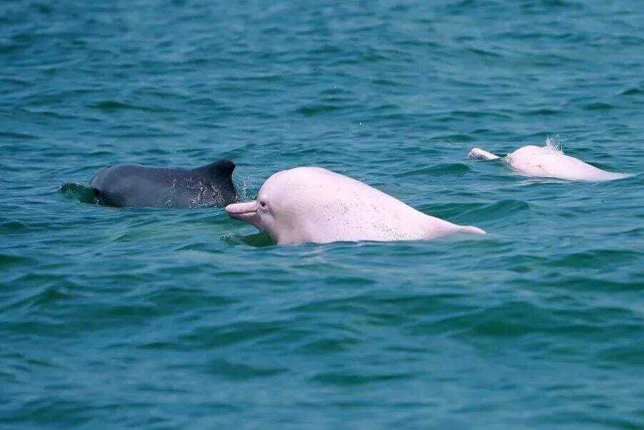 00000000JJOIlMxZiTxEusuc